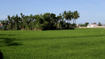 The countryside at Quang Ngai