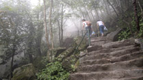 Pagode de Yen Tu, Quang Ninh