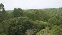 Can Gio Mangrove Forest, Ho Chi Minh City