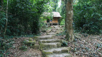 Ho Chi Minh's Khuon Tat Hut