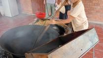 Family Tour to the Mekong Delta in Vietnam