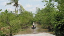 An orchard at Vinh Long