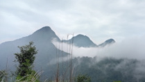 Tao Dao Nature Tour