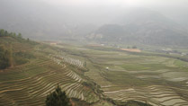 rizières en terrasses à Tu Le, Yen Bai