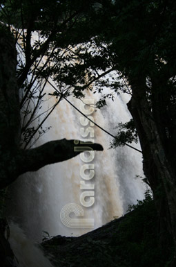 La cascade d'éléphant Dalat Vietnam