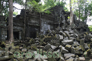 A part of Beng Mealea encroached by the forest