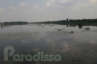 The reservoir at Neak Pean