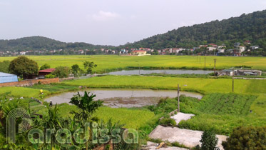 Scenic country landscape at Tien Du, Bac Ninh