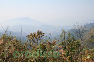 Aerial view of Muong Thanh Valley