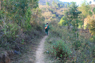 Hiking trail at Muong Phang