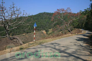 The road is quite steep on the Dien Bien side