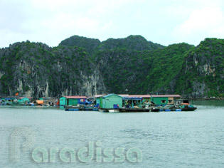 A floating village near Cat Ba Island, Hai Phong