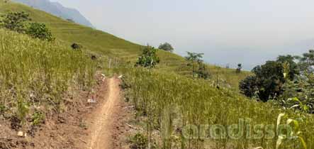 A trail amid lovely rice terraces