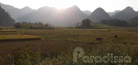 Below the Thung Khe Pass, there's a backroad with idyllic landscape