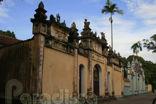 Lovely old houses with areca palm trees