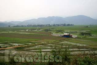 Green ricefields at Tam Duong, Lai Chau, Vietnam