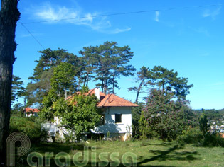 des villas de style colonial français