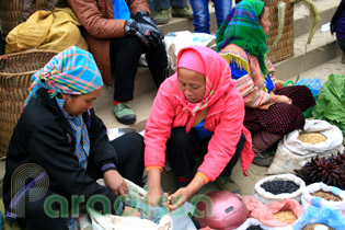 Hmong ladies with dry food