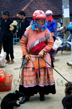 A Hmong lady with 2 puppies