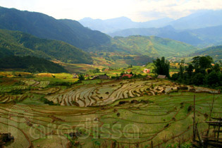 Rice terraces at Den Sang, Bat Xat, Lao Cai