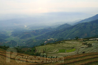 Rice terraces at Trinh Tuong, Bat Xat