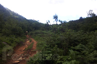 Terrain at the first leg of the trek to Mount Lao Than Summit