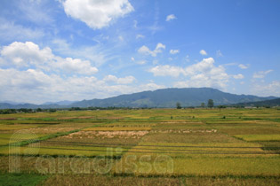 The Da River at Thanh Thuy thanh thuy rice fields