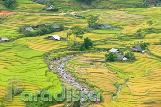 Muong Hoa Valley, Sapa