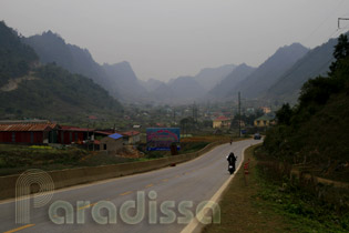 A flower valley at Moc Chau