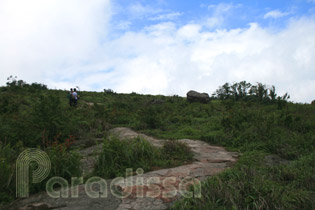 A path on the summit of Pha Luong
