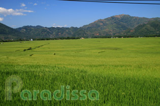 Phu Yen Son La Phu Yen Son La