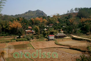 A Thai village near the hotspring in Son La