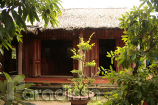 A house completely made from coconut trees