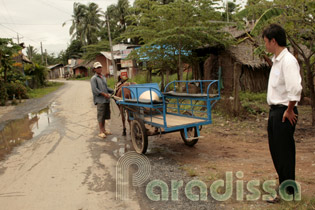 Having a tour on an island in Tien Giang by ox cart