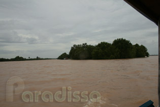 Islands on the Mekong River (Tien River)