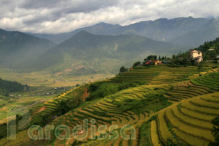 Communities living on the pass