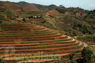 Rice terraces at De Xu Phinh, Mu Cang Chai, Yen Bai