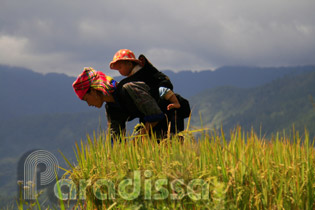 A Hmong young mother and her baby