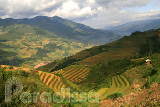 Mu Cang Chai Mountains