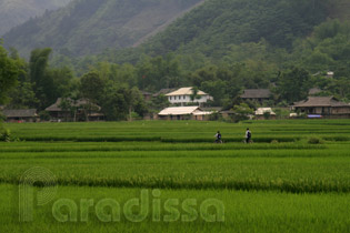 Bucolic Thai villages at Muong Lo, Yen Lo