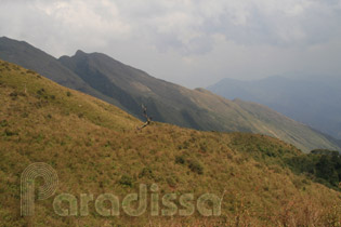 Lovely grass-covered hill side on the trek