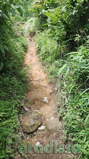 The 45-degree path on the hike up to the 1st peak of Ta Xua