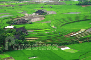 Tu Le - Cao Pha Valley