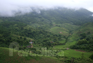 Son Dong, Bac Giang