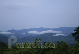 Dong Cao, Son Dong, Bac Giang