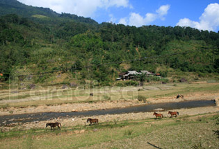 A valley at Cho Don, Bac Kan