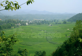 La campagne verdoyante de Bac Kan au Vietnam