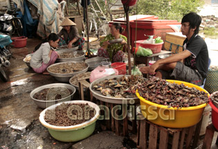 Fresh crabs at a market