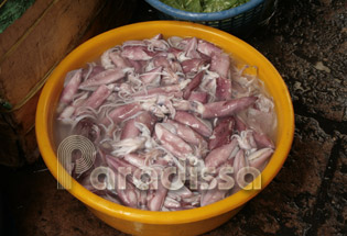 Fresh squids at a local market