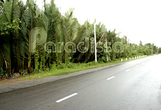 Les routes à la province de Ben Tre